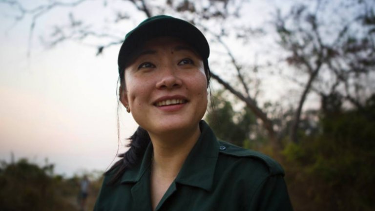 Синди Уангмо е на 31 години  и тигрите са нейния живот.