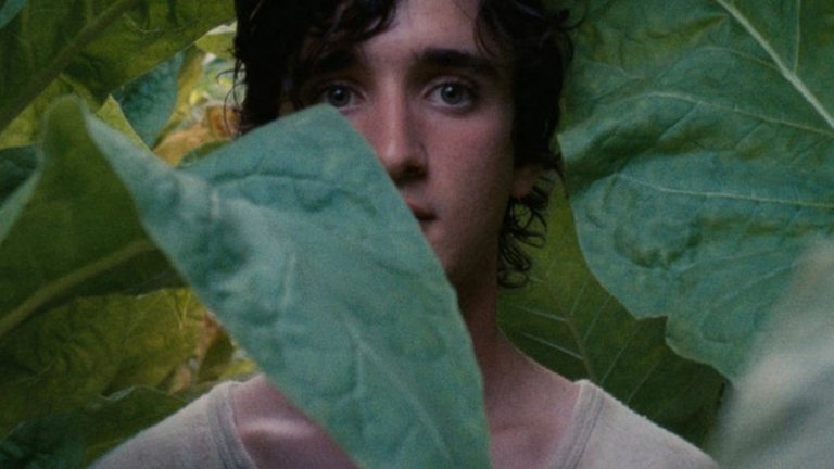 12. Happy As Lazzaro (Lazzaro felice)
Италианският филм, смесица между суров реализъм и щипка свръхестествено, разказва за трудолюбовия Лазаро. Може и да не е особено умен, но е надарен с някакъв вид магия. Филмът започва като модерна приказка и завършва като критики на тези, които биват използвани от капитализма. Докато гледаш "Happy As Lazzaro" е трудно да определиш накъде се е насочил филмът. В средата се случва нещо наистина неочаквано, което запраща историята в една съвсем нова посока.
