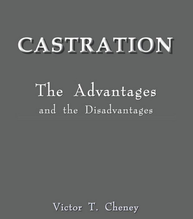 „Кастрацията – предимства и недостатъци” – още един максимално изчистен дизайн. Трябва да сме благодарни, че не са заложили на илюстративна корица