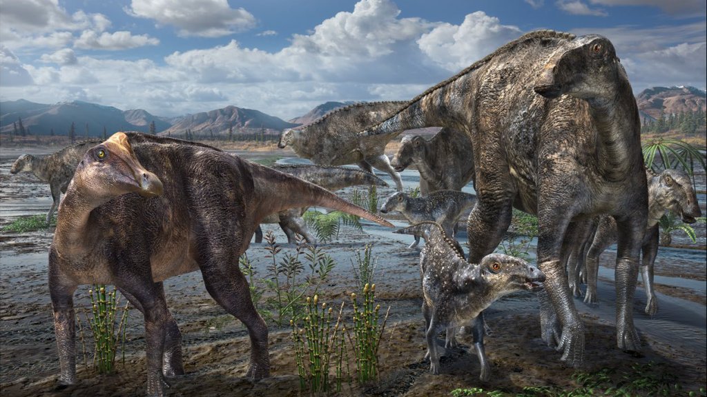 Liscomb_Bonebed_hadrosaurids