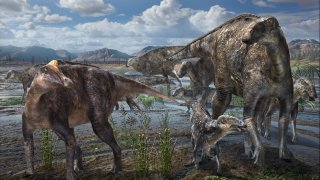 Liscomb_Bonebed_hadrosaurids