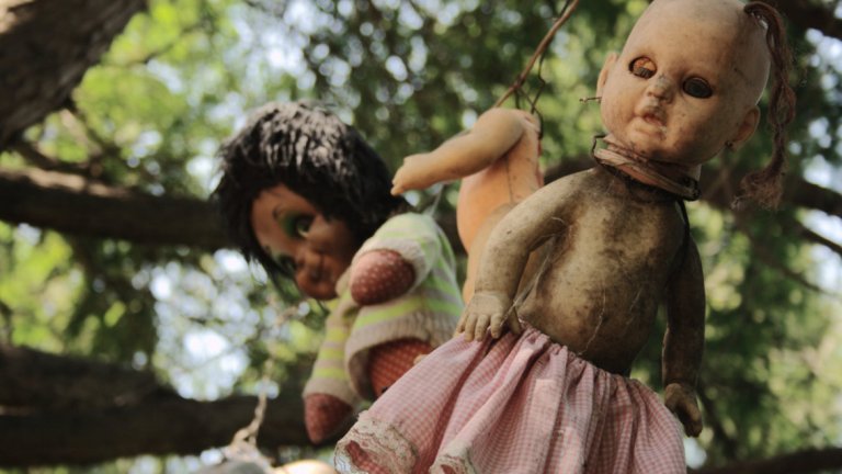 Островът на куклите в Мексико

Южно от столицата Мексико сити, между ръкавите на река Сочимилко, се намира малък остров, който от години е туристическа дестинация за всички онези, които търсят ужасии. И въпреки че в околността живеят хиляди души, единствените обитатели на този остров са десетките обесени на дърветата кукли. Легендата разказва за малко момиченце, намерено от местен фермер. Духът на детето започнал да го преследва и единственият начин да се спаси, бил да окачи детска кукла на дърво. Само една кукла обаче не успяла да укроти жестокия дух на момиченцето и така обесването на играчки по клоните на дървета се превръща в мания за фермера. До смъртта си през 2001 г. той е успял да събере повече от 1500 кукли. Според някои Сантана е получил инфаркт, а според други е бил намерен удавен, досущ като момиченцето. Сега мястото посреща хиляди туристи всяка година, които искат да се докоснат лично до ужасяващата история и до стряскащите кукли, висящи обесени по дърветата.