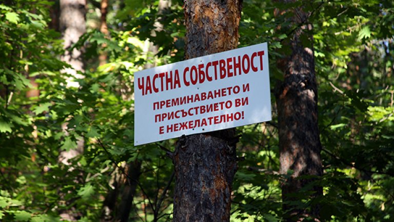 Голямата вода