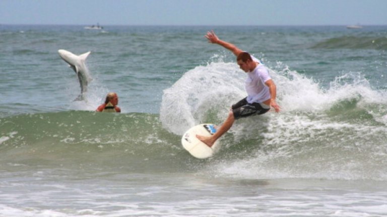 Плажът Ню Смирна, Флорида (New Smyrna Beach, Florida)
Флорида е красиво място, с невероятни плажове и места за сърф. Това обаче е и мястото с най-висока концентрация на атаки от акули. Само за последните 30 години, по бреговете на Флорида е имало над 210 ухавания от акули, повечето от които с латален край. А ако плувате или карате сърф на плажа Ню Смирна, трябва да знаете, че със сигурност се намиратe на около 3 метра от акула... На ваша отговорност