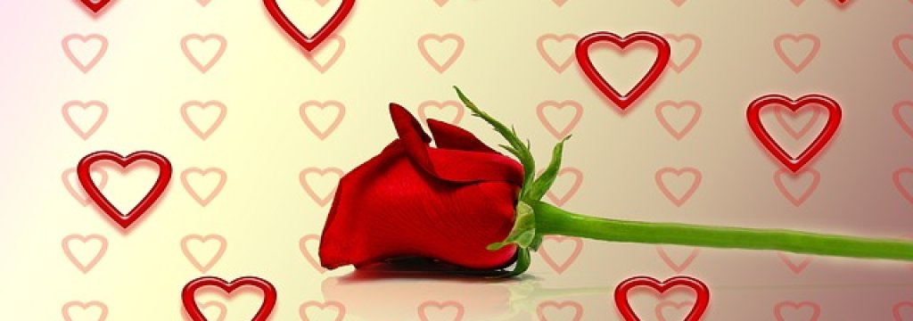 rose-260821_640