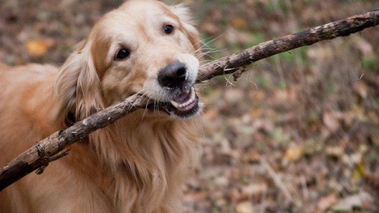 Повърви с нас по зелено. Идва асфалт