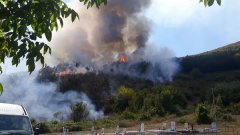 Унищожени са 100 декара борова гора, но пожарникарите не са допуснали разрастването на стихията