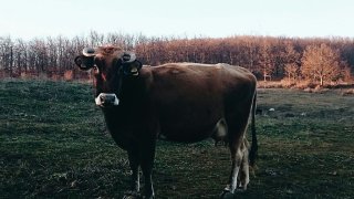 660553429