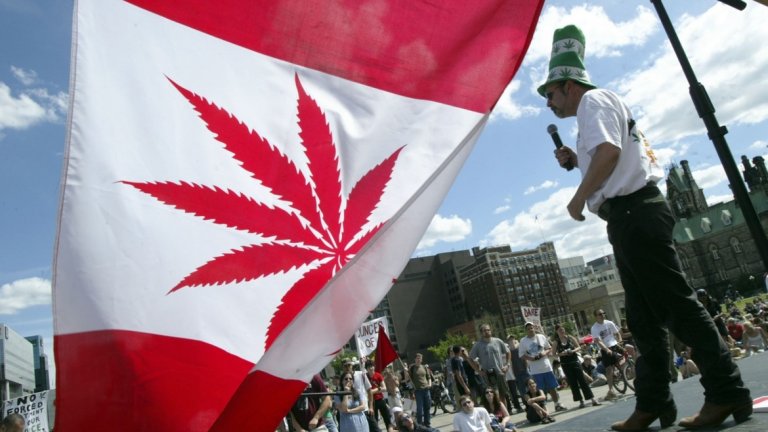 Марихуана канада легальная марихуана где купить