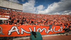 Сектор "Г" произнесе присъдата: Заешки сърца!