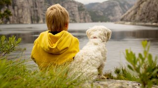Там животните са също толкова граждани на държавата, колкото и хората