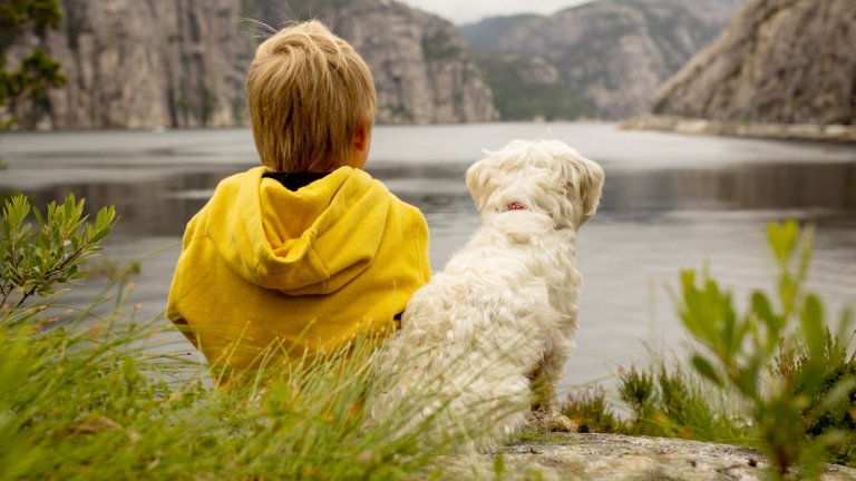 Там животните са също толкова граждани на държавата, колкото и хората