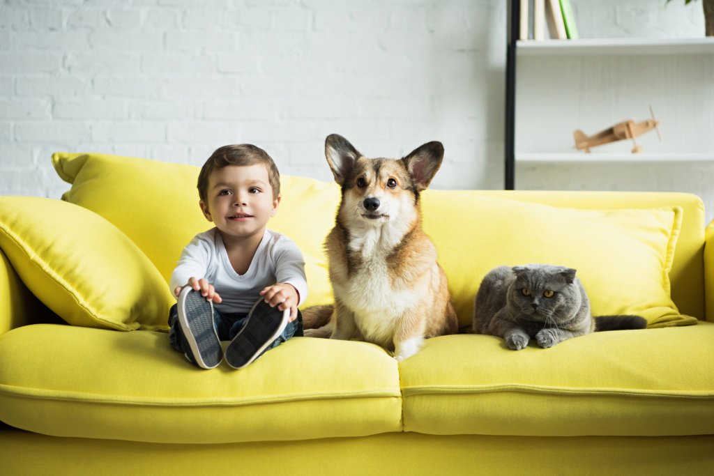 дете куче домашен любимец istock getty images