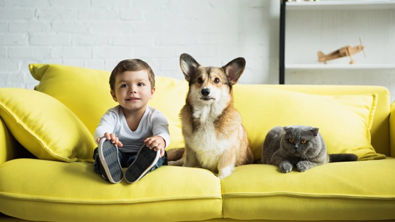 дете куче домашен любимец istock getty images