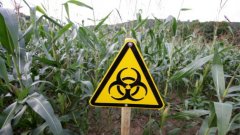 Според решение на Европейския парламент всяка страна-членка на Съюза може да се позове на социално-икономически причини, на такива свързани с околната среда или развитието на територията, за да се противопостави на отглеждането на ГМО