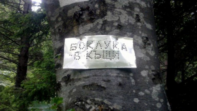 Досега само замърсявахме Витоша, вече я и палим