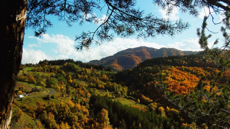 Изглед към село Гърбище и връх Алада

Със своите 1241 метра връх Алада е най-­високата точка на Жълти дял, който пък е най­-големия и най­западен рид в Източните Родопи. В подножието му са разположени селата Гърбище, Теменга, Бурево и Гърнати. Оттук, през крепостта Устра, някога е минавал древен път, отиващ към Маказа и Беломорието.