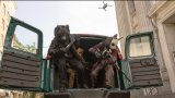 Премиерата на How to Rob a Bank ще бъде на 4 септември в кината
