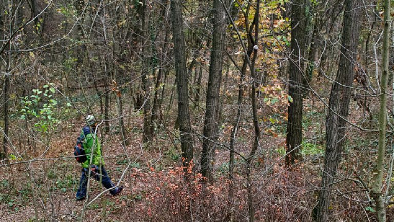 Повърви с нас по зелено. Идва асфалт