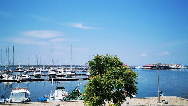 В светлите кадри, разбира се, големият сензор и опитът на Leica, с които компанията си партнира, си казват думата.