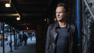 Sting-photo-2018