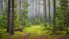 Въпросът трябва да бъде решен най-късно до 2028 г.
