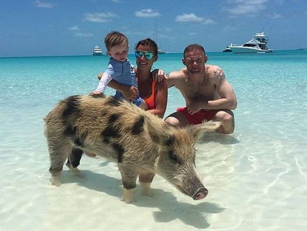 Ако имаше конкурс за най-добра снимка от ваканцията, Уейн Рууни сигурно щеше да я спечели с този готин кадър от Бахамите, позирайки със семейството си и с... прасе