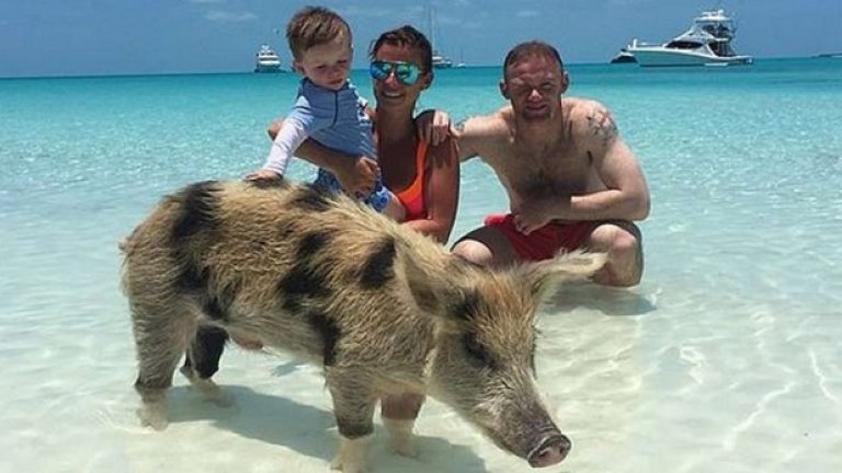 Ако имаше конкурс за най-добра снимка от ваканцията, Уейн Рууни сигурно щеше да я спечели с този готин кадър от Бахамите, позирайки със семейството си и с... прасе