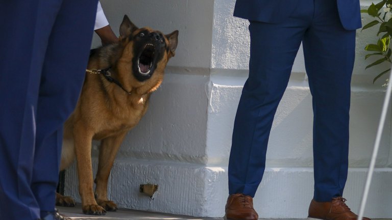 След инцидентите Командър е бил изпратен на специално обучение за добро поведение