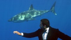 Илюзионистът Дейвид Блейн рекламира фрак на Адам Кимъл сред акулите