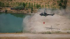 Минимум 50 години ще са нужни, за да се възстанови гората