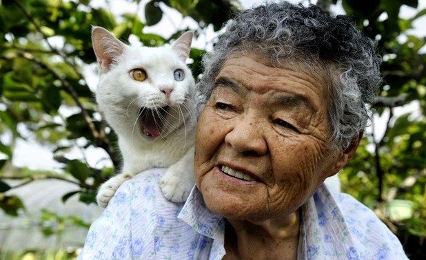 Японската котка Фукумару и 88-годишната й собственичка