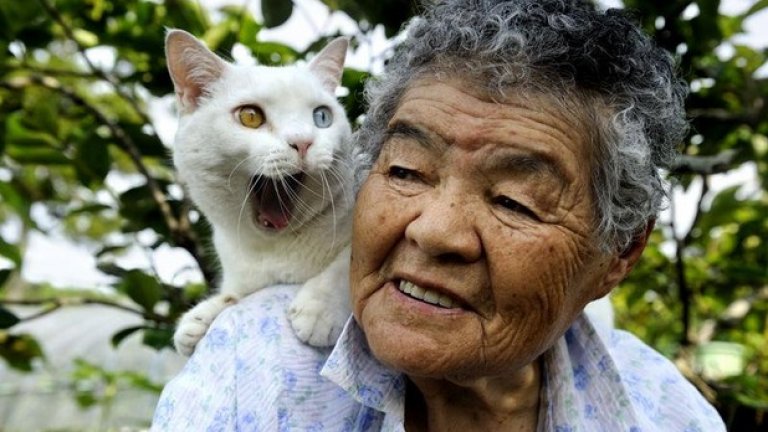 Японската котка Фукумару и 88-годишната й собственичка