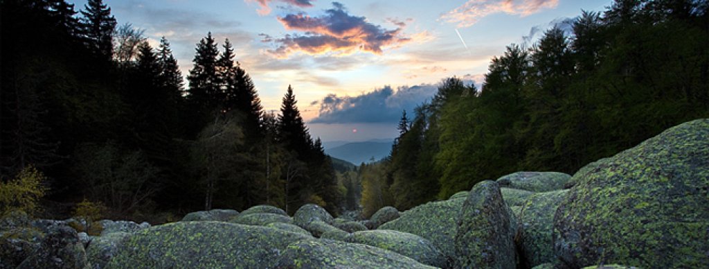 Zlatni_Mostove1