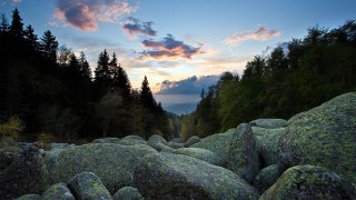 Zlatni_Mostove1