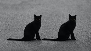 viktor-talashuk-AqceIiqZWlI-unsplash