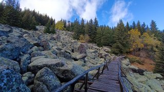 Уроци и усмивки на открито - без екрани и без бързане