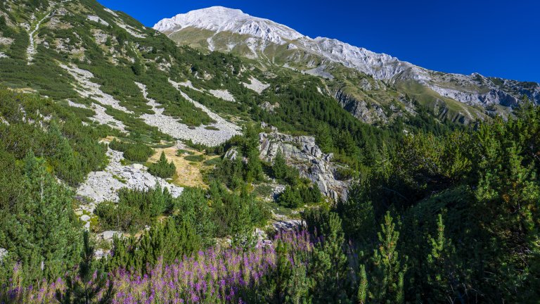 Наложила се е намесата на полицията