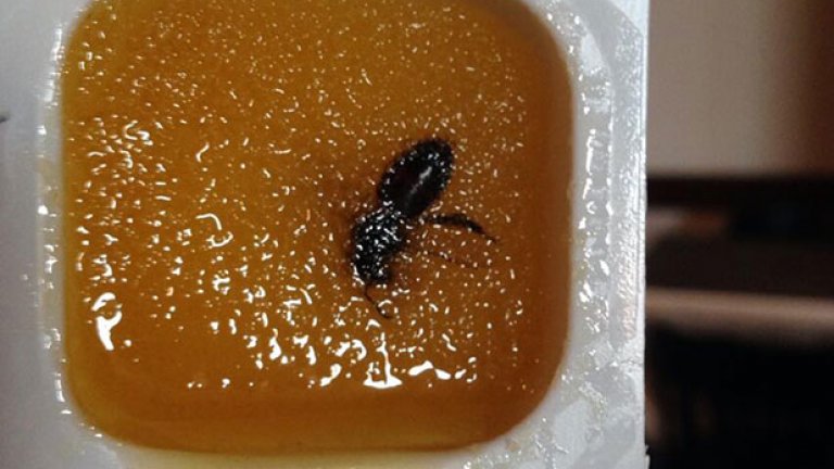 Медът в Русия поне е автентичен