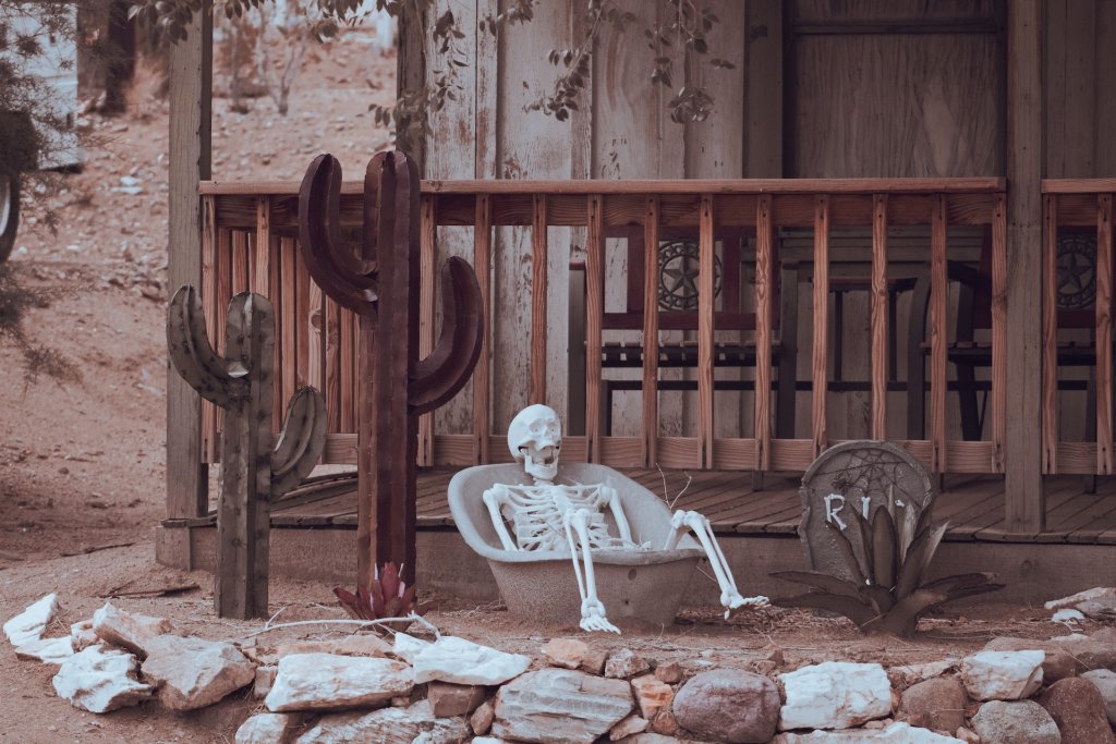 brian-wangenheim-3hu47ha5XFQ-unsplash