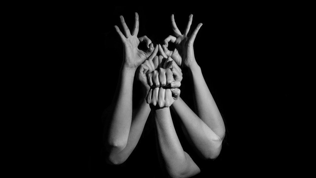 molly-blackbird-WvXPoIKsmOM-unsplash