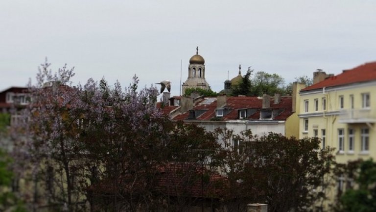 Поглед към катедралата

Снимка: Румяна Полизова