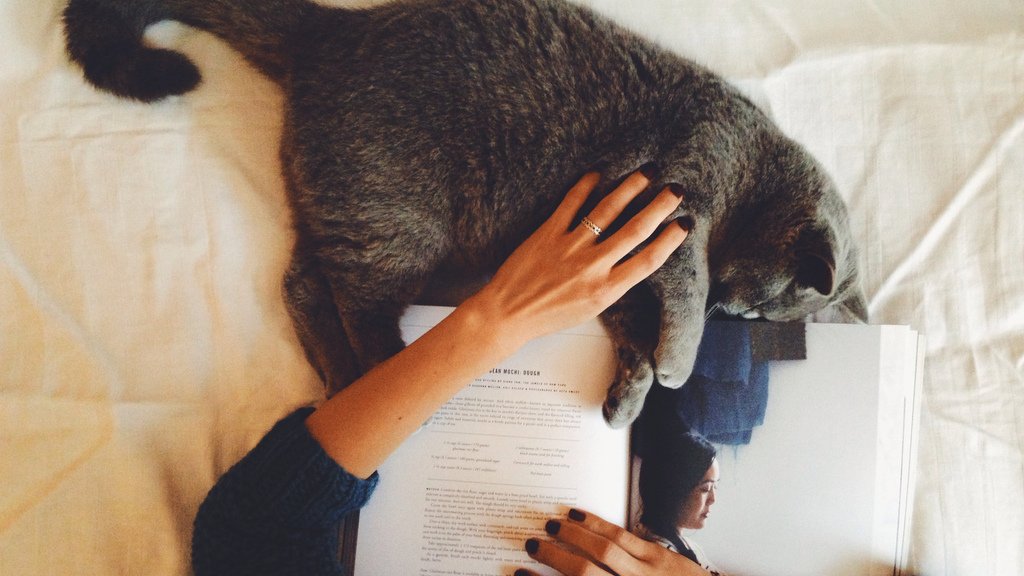 Girl cat reading