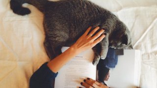 Girl cat reading