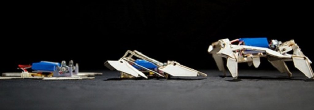robot origami