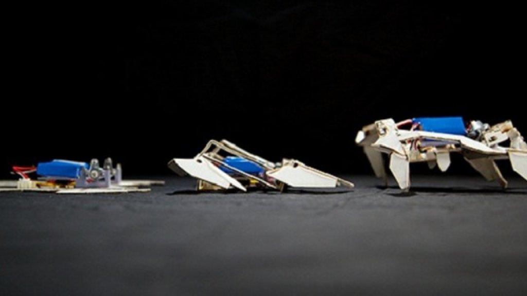 robot origami