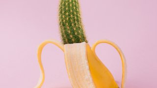artistic-banana-bright-1170831