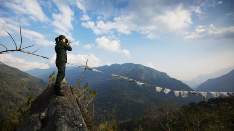 Синги ръководи 90 души и прекарва месеци в джунглата