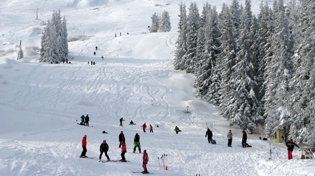 Под претекст за развитието на ски туризма промените в Закона ще доведат до безконтролна сеч и монопол в зимните курорти 