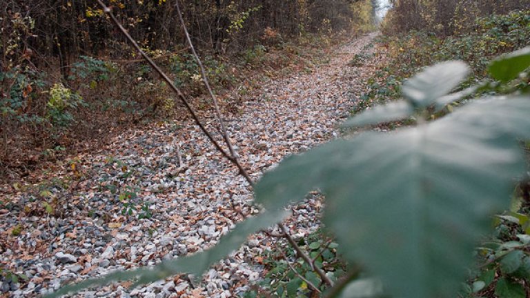 Някогашните линии на гара "Пионер" в частта на Борисовата градина, граничеща с кв. "Лозенец"